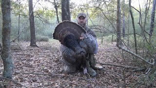 Spring Turkey Hunting  Vocal Hen Costs a Gobbler [upl. by Singleton172]