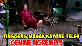 TIGENG MASA KAYUNE TELES GENINE NGREMPIS tigengsontotv [upl. by Danila]