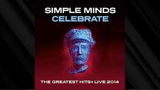 Simple Minds  Dolphins Live Bern 2014 [upl. by Ihskaneem]