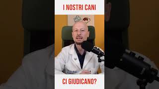 I nostri cani ci giudicano o no [upl. by Feldman]