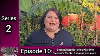 S2 E10 Freyas Tropical Garden Birmingham Botanical Gardens Yvonnes Plants Bananas and more [upl. by Ayekram410]