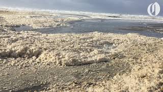 Scenes from king tides on the Oregon and Washington Coasts [upl. by Louisette]