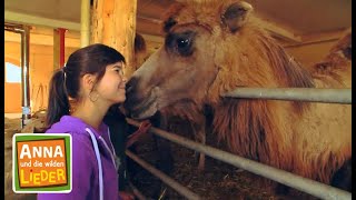 Knutscht da ein Dromedar  Tierische Kinderlieder  Anna und die wilden Lieder [upl. by Suriaj]