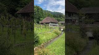 Swiss village at Ballenberg Open Air Museum [upl. by Luahs]