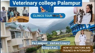 veterinary college Palampur clinical tourcskhpkv Palampur Our internship duty in medicin [upl. by Omland]