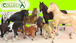 CollectA Horses Mare Foal Pony Stallion Horse Unboxing Review Video HoneyheartsC [upl. by Cassius]