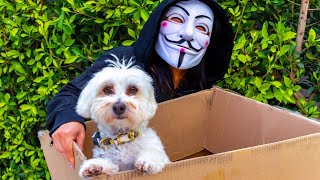 HACKER STEALS PUPPY 😱 PROJECT ZORGO [upl. by Aiciruam]