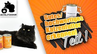 🔥Gutes Katzenfutter  hochwertiges Katzenfutter erkennen Deklaration amp Zusammensetzung verstehen [upl. by Aicenev]