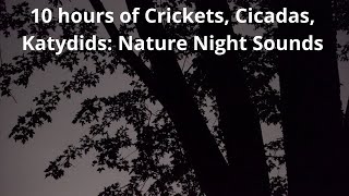 Nature Night Sounds 10 Hours of Crickets Cicadas Katydids Sleep Study Relax Nature Video [upl. by Darrej]