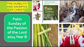 Palm Sunday 2024 Year B Fr A Paul Homily – 24 March 2024 [upl. by Loresz]