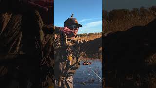 Duck Season Opener In Missouri duckseason shorts [upl. by Akenaj]