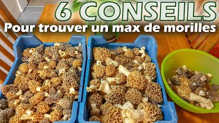 Morilles  6 conseils pour trouver un maximum de morilles [upl. by Nairim]