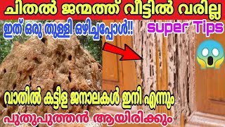 ചിതൽ വീടിൻ്റെ പരിസരത്ത് ഇനി വരില്ല ഇത് ഒരു തുള്ളി ഒഴിച്ചപ്പോൾ ഒരു രൂപ ചിലവില്ലHow to remove termite [upl. by Chaves138]