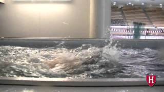 Harvard Mens Swimming Training in an Elite Endless Pool [upl. by Vinaya882]