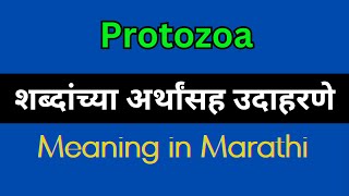 Protozoa Meaning In Marathi  Protozoa explained in Marathi [upl. by Hope]