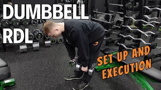 Dumbbell Romanian Deadlift  Set Up amp Execution [upl. by Ahearn508]