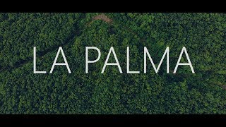 La Palma 4K Drone Footage [upl. by Asilana]