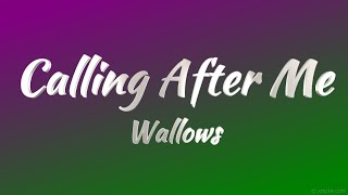 Wallows  Calling After Me KARAOKE VERSION [upl. by Aeniah]