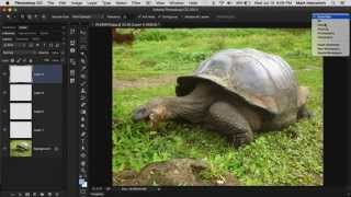 Photoshop Training Tutorial  Optimize your Workspace for Productivity [upl. by Merras]