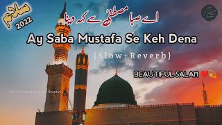 Ay Saba Mustafa Se Keh Dena  SlowReverb  Hafiz Tahir Qadri [upl. by Main]