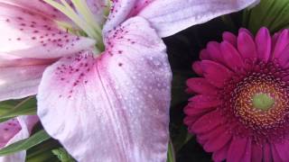 Quality Flowers from The Florist Shop in Wroxham [upl. by Stein]