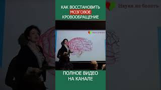 РАБОТА МОЗГА что происходит внутри вашей головы shotrs головноймозг [upl. by Kylen]