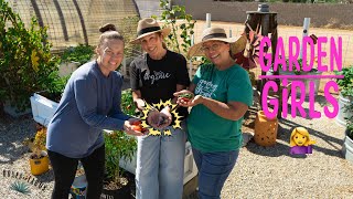 High Desert Harvest eps3 HOW to grow in a 1200 SQFT Garden Beautiful Orchard AFTER THE HEAT WAVE [upl. by Ophelie]