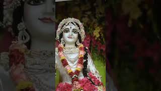 radhakrishna heygopalkrishnakaruaartiteri krishna devotionalsong song [upl. by Enaamuj]