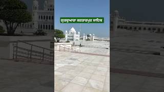 Sri Kartarpur Sahib Pakistan 🙏🇵🇰  shorts kartarpursahibcorridor kartarpurvlog pakistan [upl. by Eiramanin]