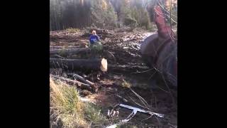 550 timberjack log skidder [upl. by Li642]