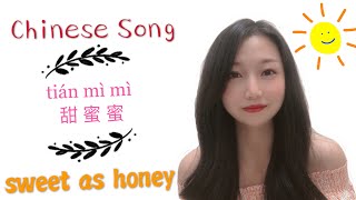 tian mi mi甜蜜蜜  LyricsPinyinMandarin ChineseEnglish  CHINESE SONG [upl. by Sair]