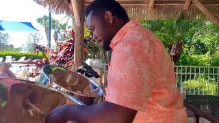 Under the Sea The little mermaid  Steelpan cover  Ravon quotSteelyquot Rhoden [upl. by Aivartal]