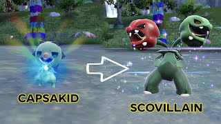 Capsakid evolves to Scovillain  Pokemon Evolution [upl. by Reve142]