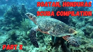 Roatan Island Honduras SCUBA Compilation Part 2 September 2024 [upl. by Magill]