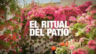 EL RITUAL DEL PATIO [upl. by Towill673]