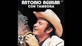 Antonio Aguilar  Albur De Amor [upl. by Aremus]