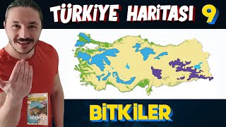 TÜRKİYENİN BİTKİLERİ  Türkiye Harita Bilgisi Çalışması KPSSAYTTYT [upl. by Llerrat]