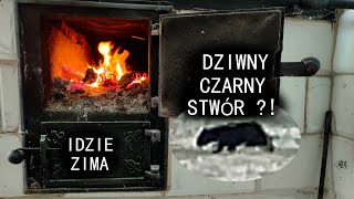 Siedlisko  reanimacja odc131 quotTrzeba grzaći co to za zwierzę quot [upl. by Nileek75]