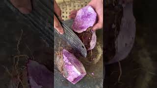 Purple sweet potato cutting process Good tools and machinery can increase work efficiency [upl. by Theran]