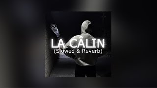 La Càlin  SLOWED amp REVERB version  Tiktok [upl. by Eiuqcaj]