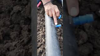 easiest way to fit tap of drip irrigation [upl. by Einitsed]