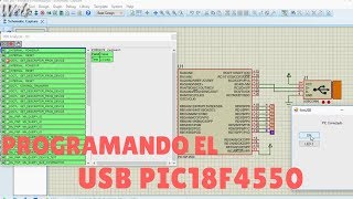 USB con PIC18F4550 Wels Theory [upl. by Tomasz]