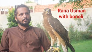 very expert and experienced falconer with juvenile female bonelli eagle  price of eagle in Pakistan [upl. by Grenier]