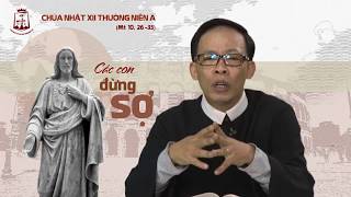 Chúa Nhật tuần XII Thường Niên A  Mt 10 2633  Lm Phaolô Ngô Văn Phi CSsR 06252017 dcctvnorg [upl. by Tnecillim]