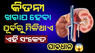 kidney problems  Six symptoms of kidny  How does kidney fell  kidney disease  ଆମschool [upl. by Fairfield423]