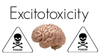 What is Excitotoxicity [upl. by Aenert]