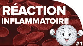 Réaction inflammatoire  SVT  SANTÉ 1ère spé 7  Mathrix [upl. by Anairam723]