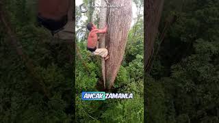 Gerçek Hayattaki Tarzan 😯 tarzanmovement  YTIG [upl. by Teirrah612]