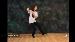 Tai Chi Moves  Free Tai Chi Online Lessons  Moves 4 5 and 6 [upl. by Amelie]