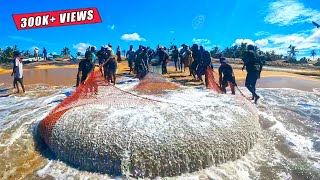 Wow Record Breaking 2000Kg Of Fish Caught In Seine Net Fishing [upl. by Bloomer35]